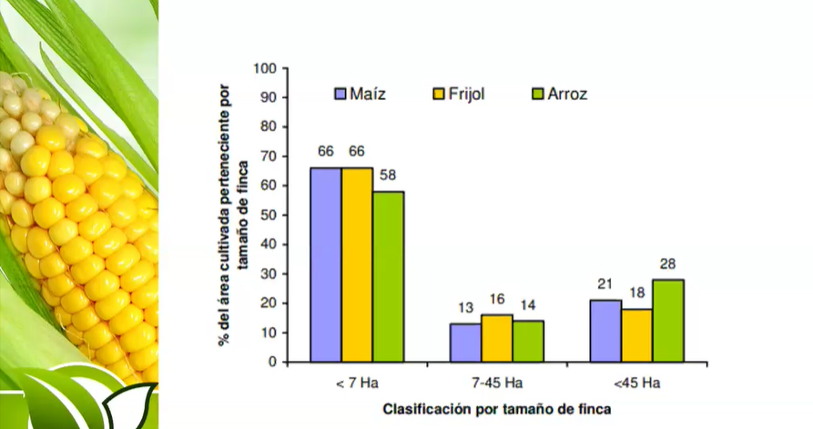 ÉPOCAS DE SIEMBRA DEL MAÍZ